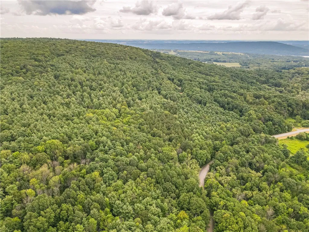 0 Dugway Road, Bristol, New York 14424, Bristol, New York 14424, ,Land,For Sale,0 Dugway Road, Bristol, New York 14424,R1633623