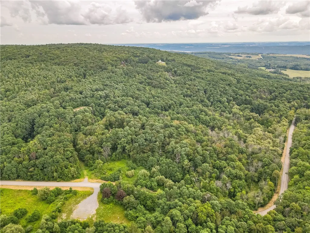 0 Dugway Road, Bristol, New York 14424, Bristol, New York 14424, ,Land,For Sale,0 Dugway Road, Bristol, New York 14424,R1633623
