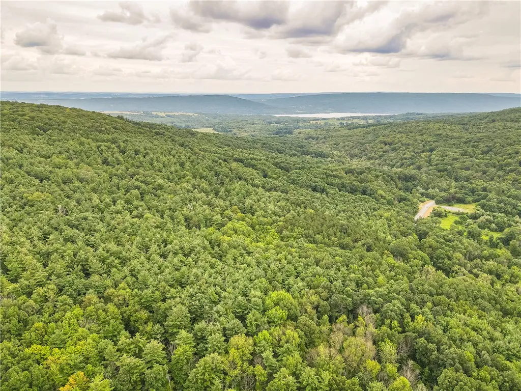0 Dugway Road, Bristol, New York 14424, Bristol, New York 14424, ,Land,For Sale,0 Dugway Road, Bristol, New York 14424,R1633623