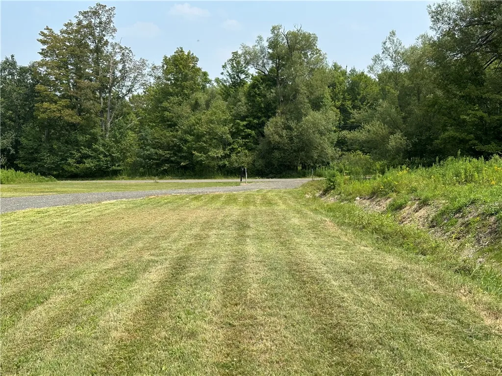 177 Clendening Road, Colesville, New York 13787, Colesville, New York 13787, ,Land,For Sale,177 Clendening Road, Colesville, New York 13787,R1633106