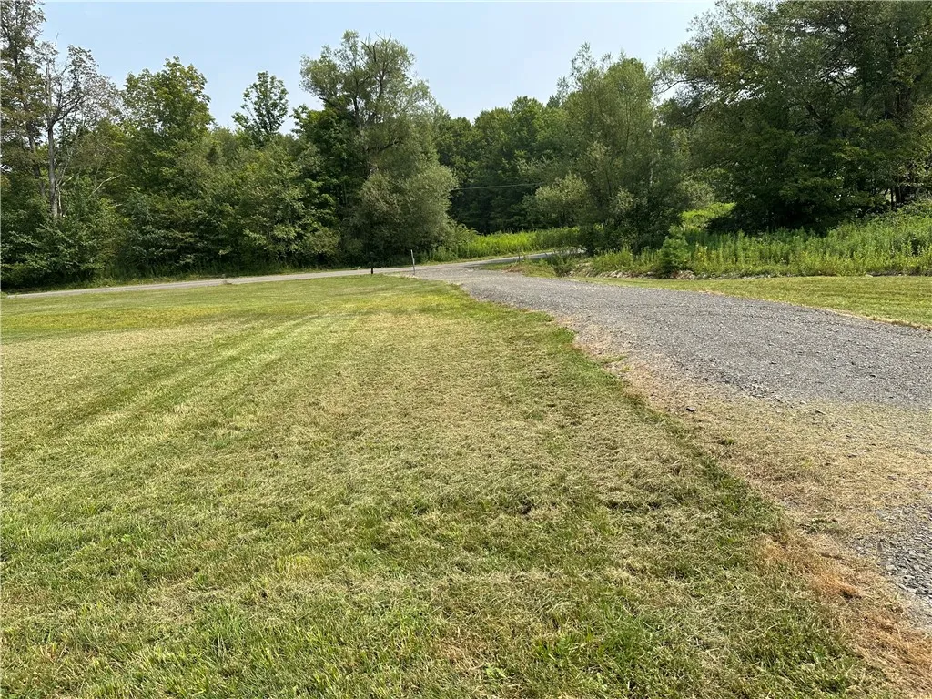 177 Clendening Road, Colesville, New York 13787, Colesville, New York 13787, ,Land,For Sale,177 Clendening Road, Colesville, New York 13787,R1633106