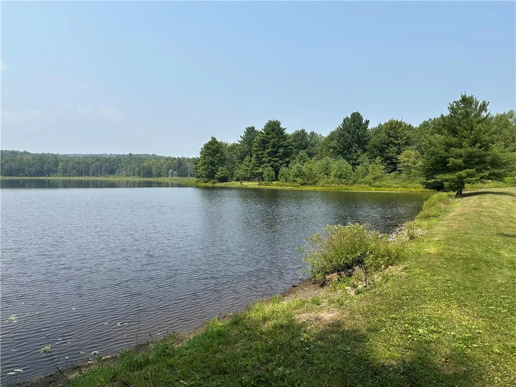 177 Clendening Road, Colesville, New York 13787, Colesville, New York 13787, ,Land,For Sale,177 Clendening Road, Colesville, New York 13787,R1633106