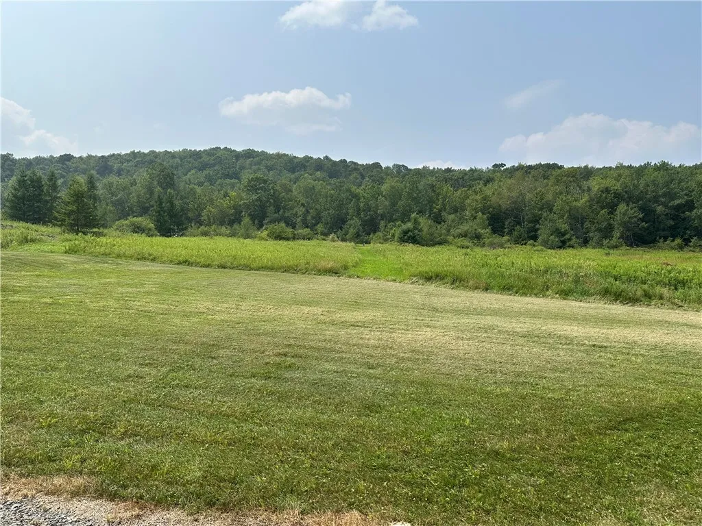 177 Clendening Road, Colesville, New York 13787, Colesville, New York 13787, ,Land,For Sale,177 Clendening Road, Colesville, New York 13787,R1633106