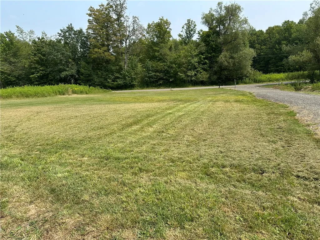 177 Clendening Road, Colesville, New York 13787, Colesville, New York 13787, ,Land,For Sale,177 Clendening Road, Colesville, New York 13787,R1633106