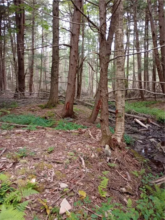 2091 Parker Hollow Road, Masonville, New York 1384, Masonville, New York 13849, 4 Bedrooms Bedrooms, 8 Rooms Rooms,1 BathroomBathrooms,Residential,For Sale,2091 Parker Hollow Road, Masonville, New York 1384,0,R1632904