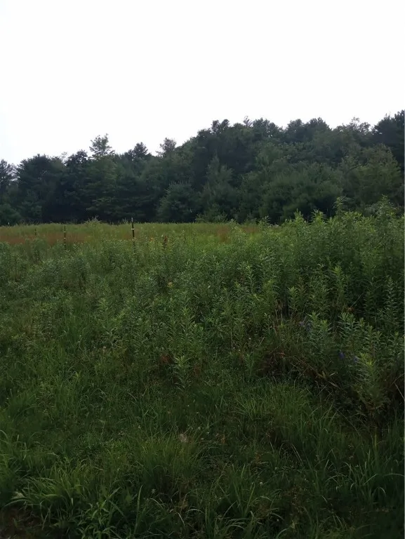 2091 Parker Hollow Road, Masonville, New York 1384, Masonville, New York 13849, 4 Bedrooms Bedrooms, 8 Rooms Rooms,1 BathroomBathrooms,Residential,For Sale,2091 Parker Hollow Road, Masonville, New York 1384,0,R1632904