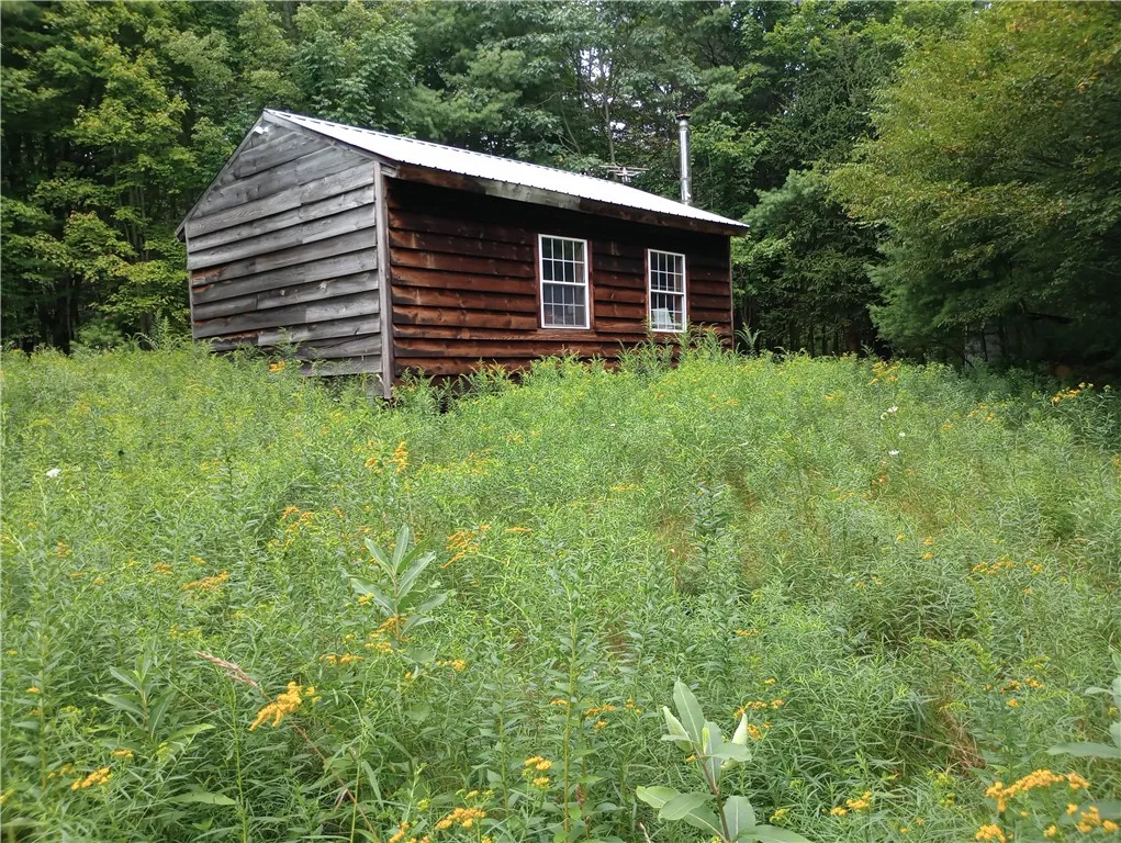 2091 Parker Hollow Road, Masonville, New York 1384, Masonville, New York 13849, 4 Bedrooms Bedrooms, 8 Rooms Rooms,1 BathroomBathrooms,Residential,For Sale,2091 Parker Hollow Road, Masonville, New York 1384,0,R1632904