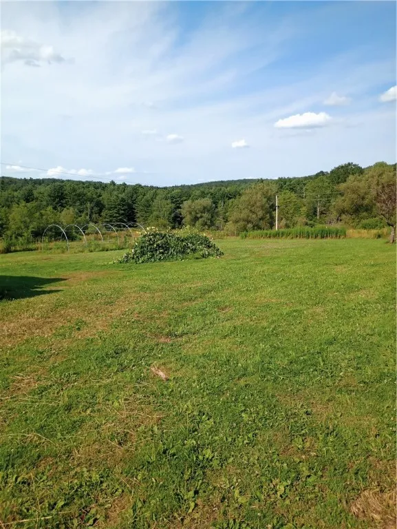 2091 Parker Hollow Road, Masonville, New York 1384, Masonville, New York 13849, 4 Bedrooms Bedrooms, 8 Rooms Rooms,1 BathroomBathrooms,Residential,For Sale,2091 Parker Hollow Road, Masonville, New York 1384,0,R1632904