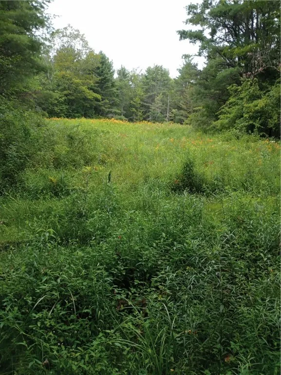 2091 Parker Hollow Road, Masonville, New York 1384, Masonville, New York 13849, 4 Bedrooms Bedrooms, 8 Rooms Rooms,1 BathroomBathrooms,Residential,For Sale,2091 Parker Hollow Road, Masonville, New York 1384,0,R1632904