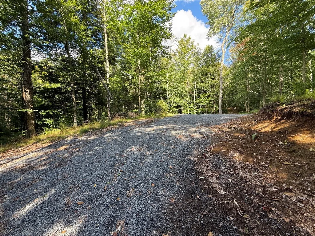 249 Tomahawk, Forestport, New York 13338, Forestport, New York 13338, ,Land,For Sale,249 Tomahawk, Forestport, New York 13338,S1633597