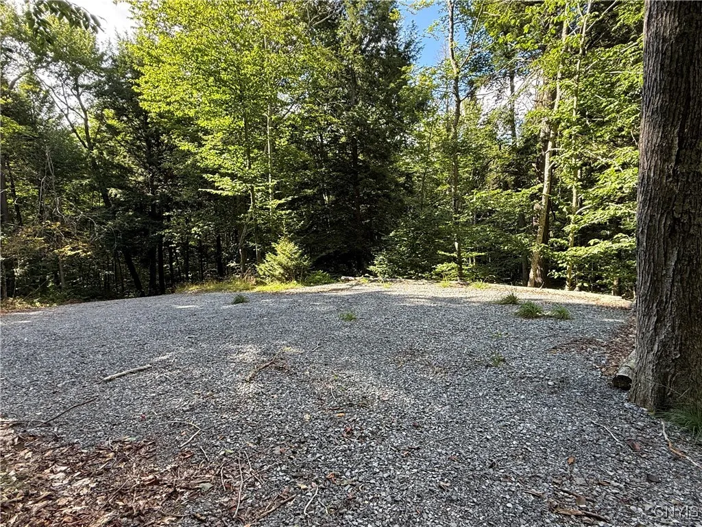 249 Tomahawk, Forestport, New York 13338, Forestport, New York 13338, ,Land,For Sale,249 Tomahawk, Forestport, New York 13338,S1633597