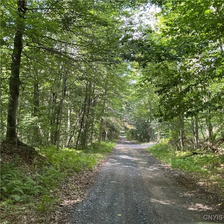 249 Tomahawk, Forestport, New York 13338, Forestport, New York 13338, ,Land,For Sale,249 Tomahawk, Forestport, New York 13338,S1633597