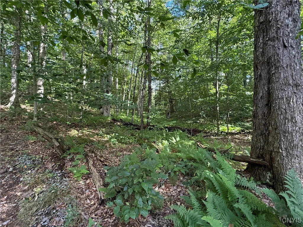 249 Tomahawk, Forestport, New York 13338, Forestport, New York 13338, ,Land,For Sale,249 Tomahawk, Forestport, New York 13338,S1633597