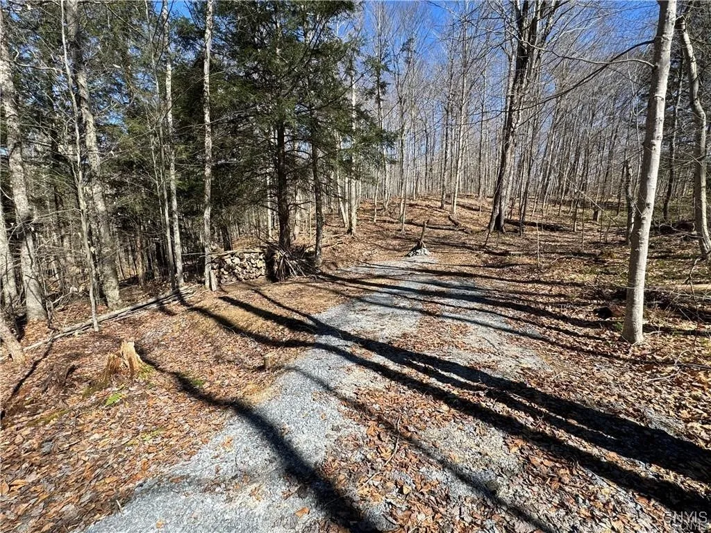 249 Tomahawk, Forestport, New York 13338, Forestport, New York 13338, ,Land,For Sale,249 Tomahawk, Forestport, New York 13338,S1633597