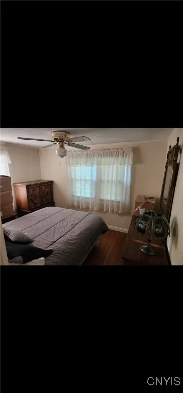 Downstairs bedroom
