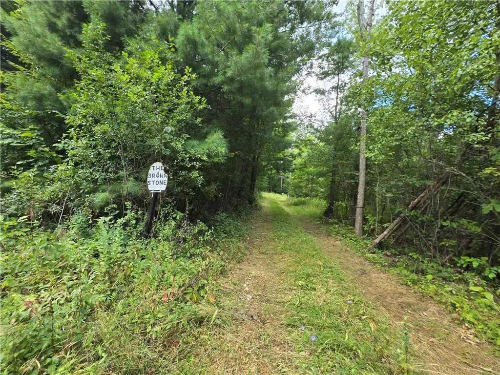 Private Wooded Drive Leading to \'The Brown Stone\' — Secluded Entry Through Mature Trees