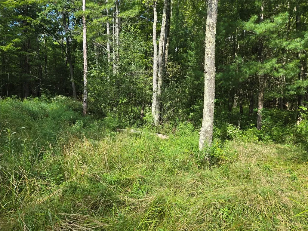 4175 Pre-emption Road, Tyrone, New York 14891, Tyrone, New York 14891, 2 Bedrooms Bedrooms, 4 Rooms Rooms,1 BathroomBathrooms,Residential,For Sale,4175 Pre-emption Road, Tyrone, New York 14891,R1633612