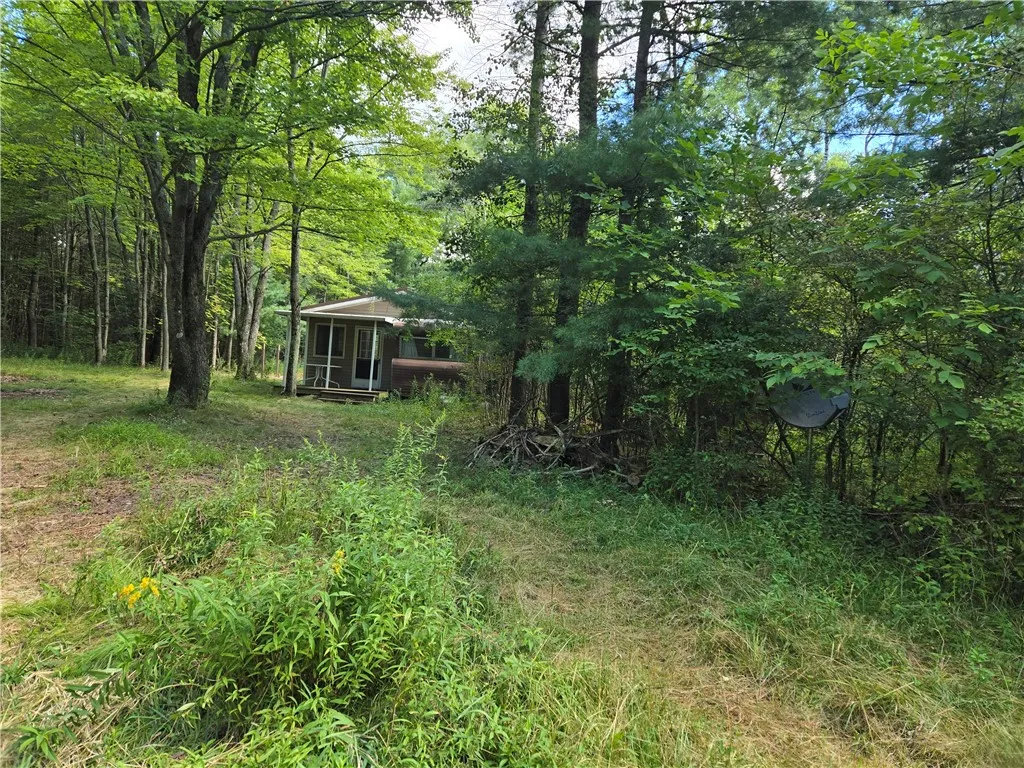 4175 Pre-emption Road, Tyrone, New York 14891, Tyrone, New York 14891, 2 Bedrooms Bedrooms, 4 Rooms Rooms,1 BathroomBathrooms,Residential,For Sale,4175 Pre-emption Road, Tyrone, New York 14891,R1633612