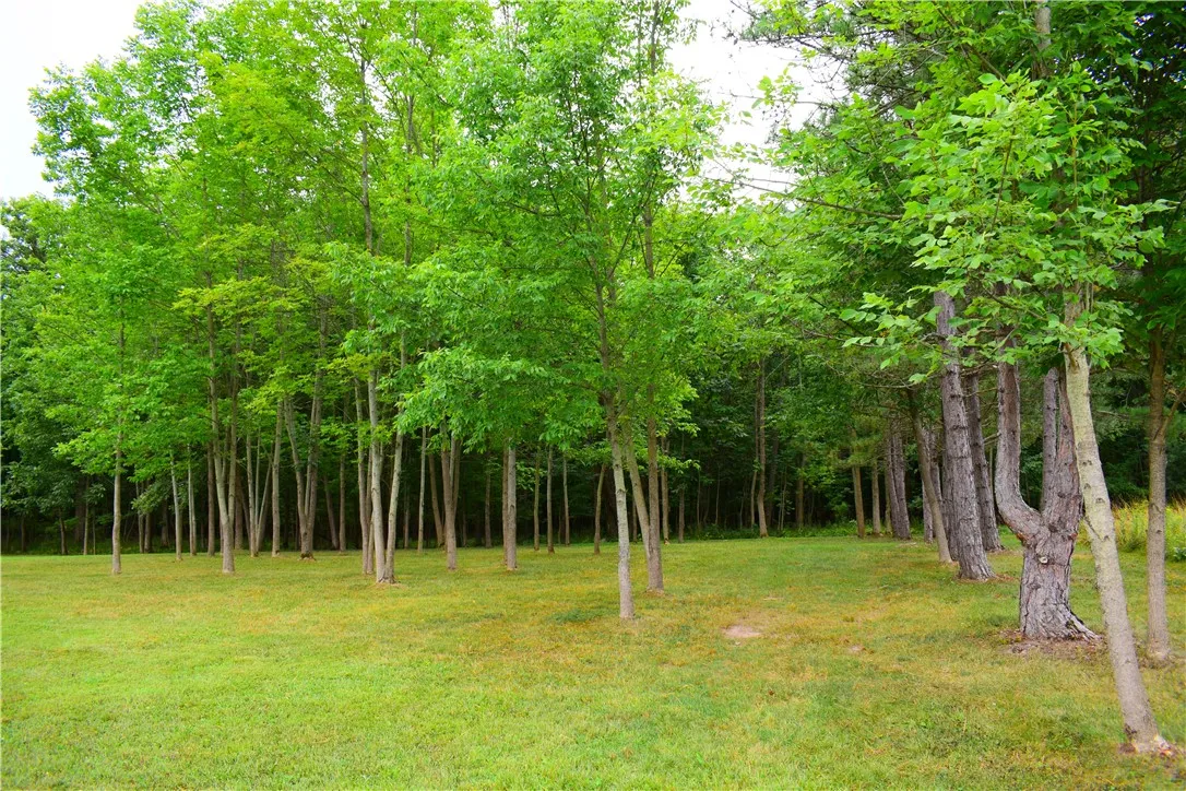 9039 Ashley Road, Richmond, New York 14487, Richmond, New York 14487, 3 Bedrooms Bedrooms, 10 Rooms Rooms,2 BathroomsBathrooms,Residential,For Sale,9039 Ashley Road, Richmond, New York 14487,R1633684