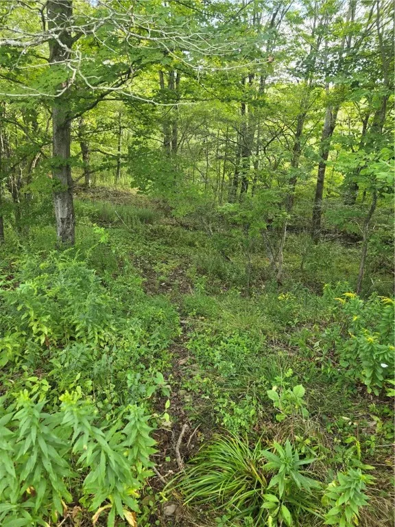 Potter Road, Jasper, New York 14855, Jasper, New York 14855, ,Land,For Sale,Potter Road, Jasper, New York 14855,R1633412