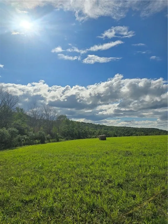 Potter Road, Jasper, New York 14855, Jasper, New York 14855, ,Land,For Sale,Potter Road, Jasper, New York 14855,R1633412
