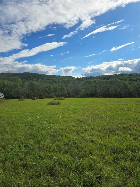 Potter Road, Jasper, New York 14855, Jasper, New York 14855, ,Land,For Sale,Potter Road, Jasper, New York 14855,R1633412