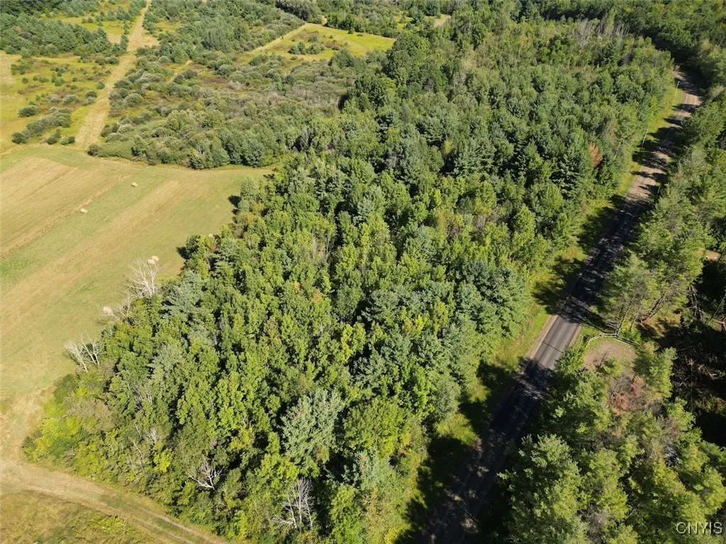 Wessie Road, Pulteney, New York 14874, Pulteney, New York 14874, ,Land,Closed,Wessie Road, Pulteney, New York 14874,0,S1633792