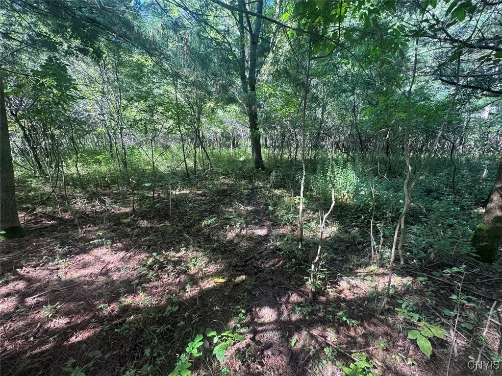 Wessie Road, Pulteney, New York 14874, Pulteney, New York 14874, ,Land,Closed,Wessie Road, Pulteney, New York 14874,0,S1633792