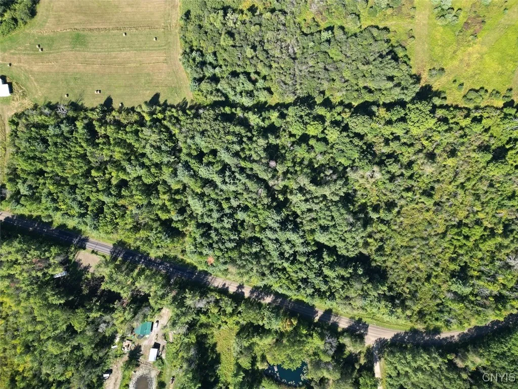 Wessie Road, Pulteney, New York 14874, Pulteney, New York 14874, ,Land,Closed,Wessie Road, Pulteney, New York 14874,0,S1633792