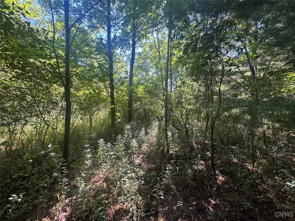 Wessie Road, Pulteney, New York 14874, Pulteney, New York 14874, ,Land,Closed,Wessie Road, Pulteney, New York 14874,0,S1633792