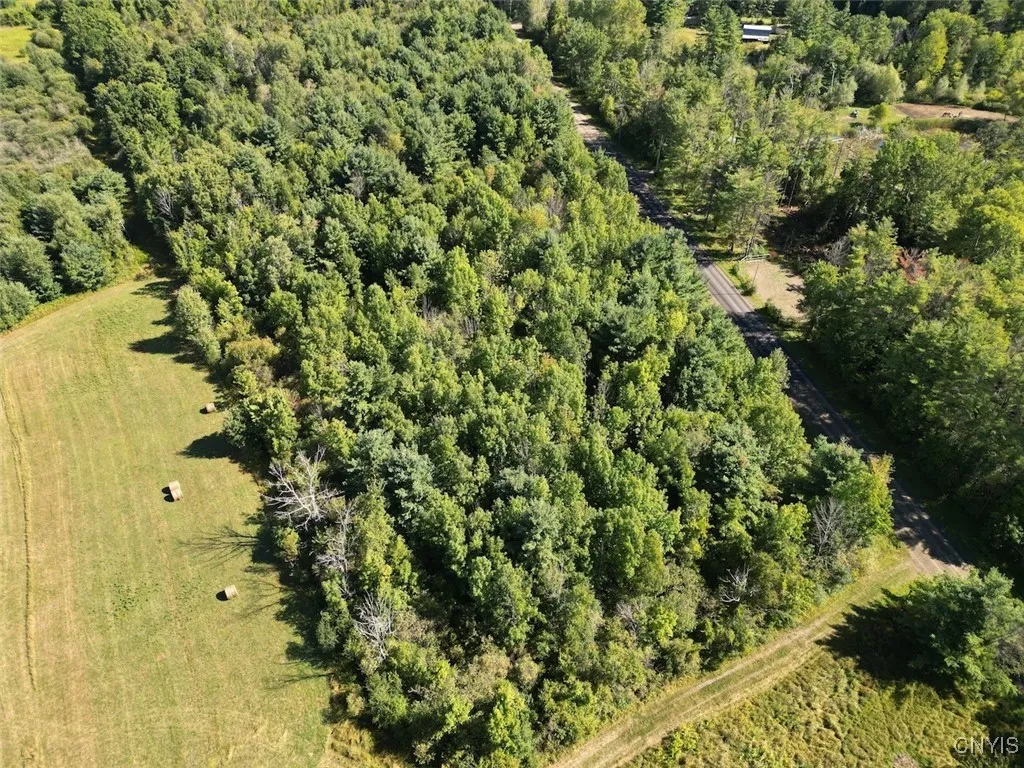 Wessie Road, Pulteney, New York 14874, Pulteney, New York 14874, ,Land,Closed,Wessie Road, Pulteney, New York 14874,0,S1633792