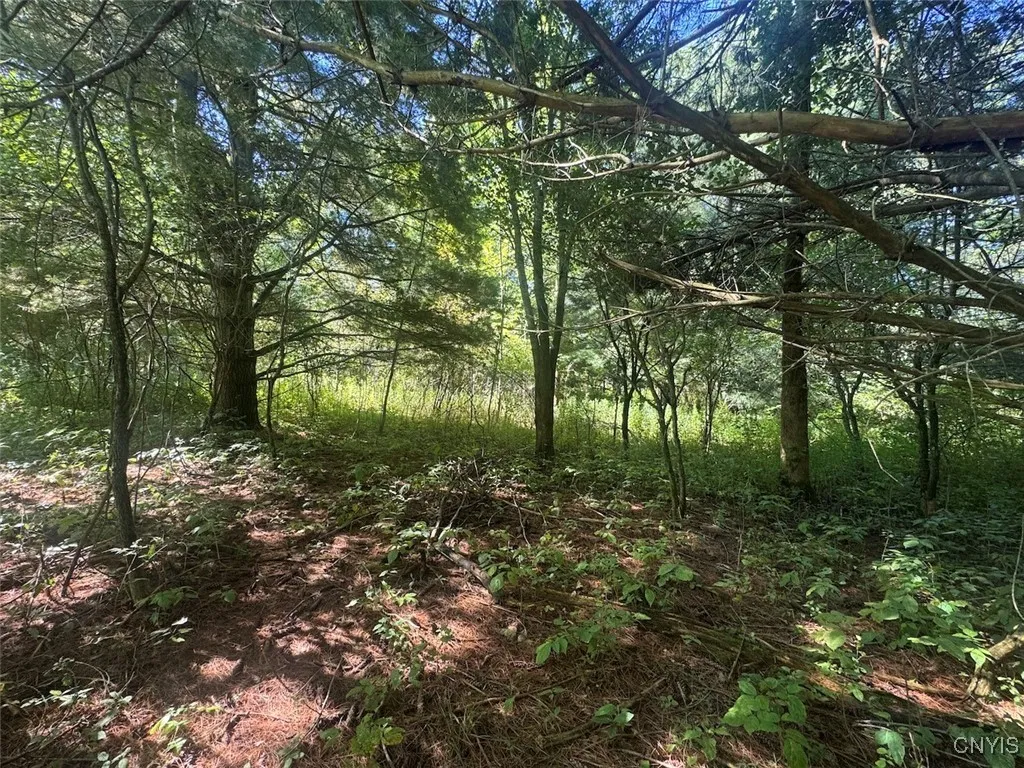 Wessie Road, Pulteney, New York 14874, Pulteney, New York 14874, ,Land,Closed,Wessie Road, Pulteney, New York 14874,0,S1633792