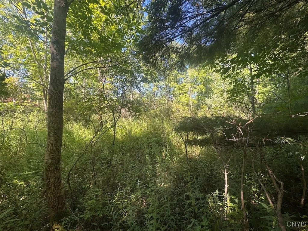 Wessie Road, Pulteney, New York 14874, Pulteney, New York 14874, ,Land,Closed,Wessie Road, Pulteney, New York 14874,0,S1633792