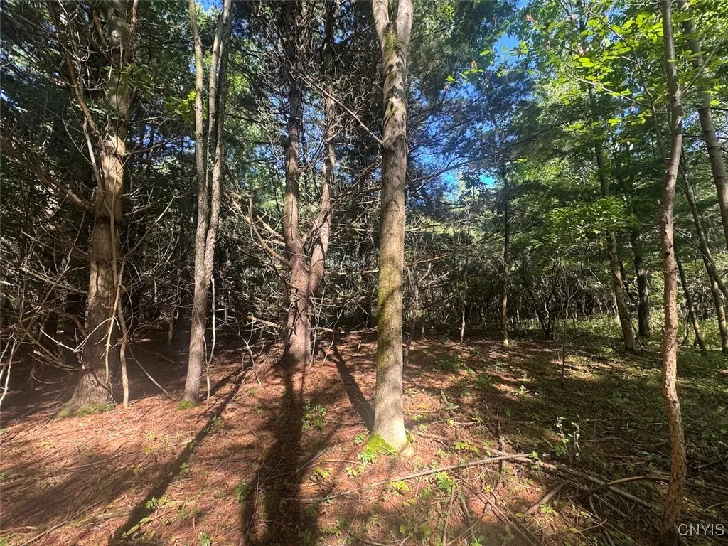 Wessie Road, Pulteney, New York 14874, Pulteney, New York 14874, ,Land,Closed,Wessie Road, Pulteney, New York 14874,0,S1633792