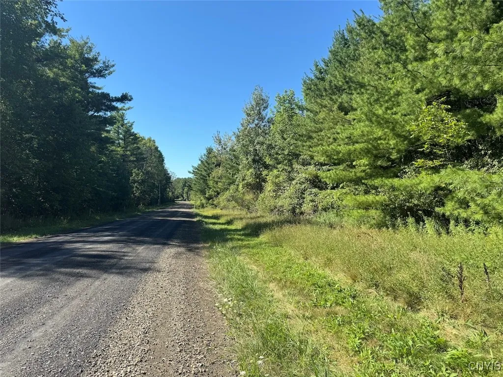 Wessie Road, Pulteney, New York 14874, Pulteney, New York 14874, ,Land,Closed,Wessie Road, Pulteney, New York 14874,0,S1633792