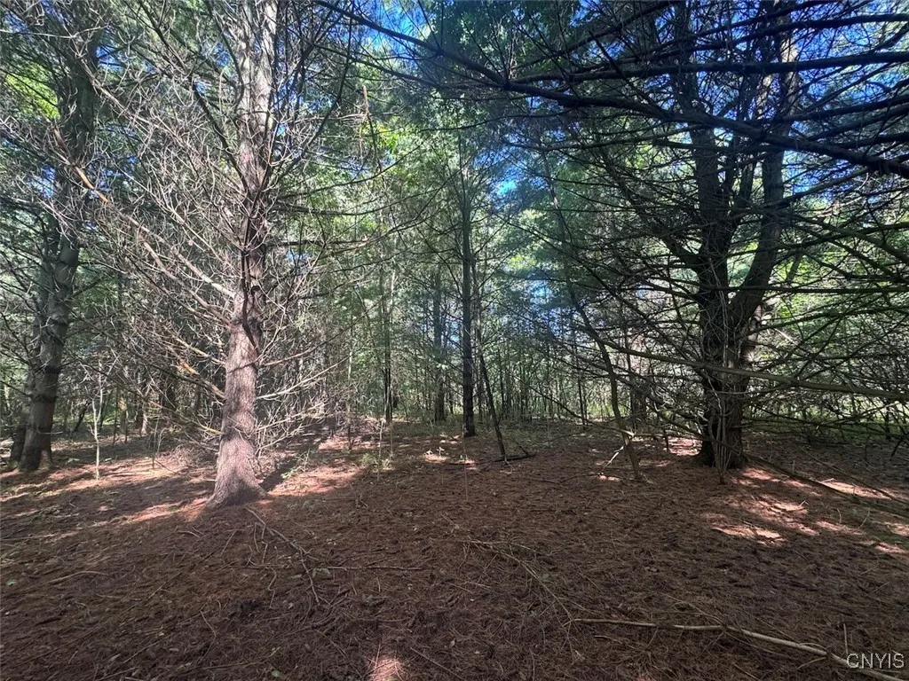 Wessie Road, Pulteney, New York 14874, Pulteney, New York 14874, ,Land,Closed,Wessie Road, Pulteney, New York 14874,0,S1633792