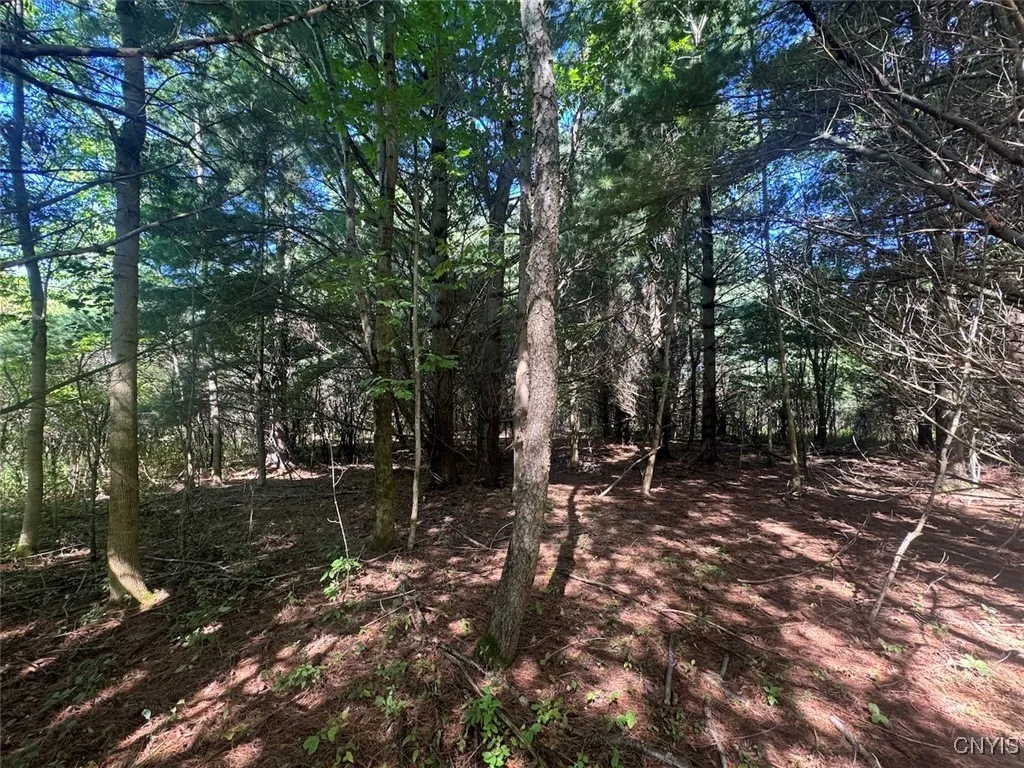 Wessie Road, Pulteney, New York 14874, Pulteney, New York 14874, ,Land,Closed,Wessie Road, Pulteney, New York 14874,0,S1633792