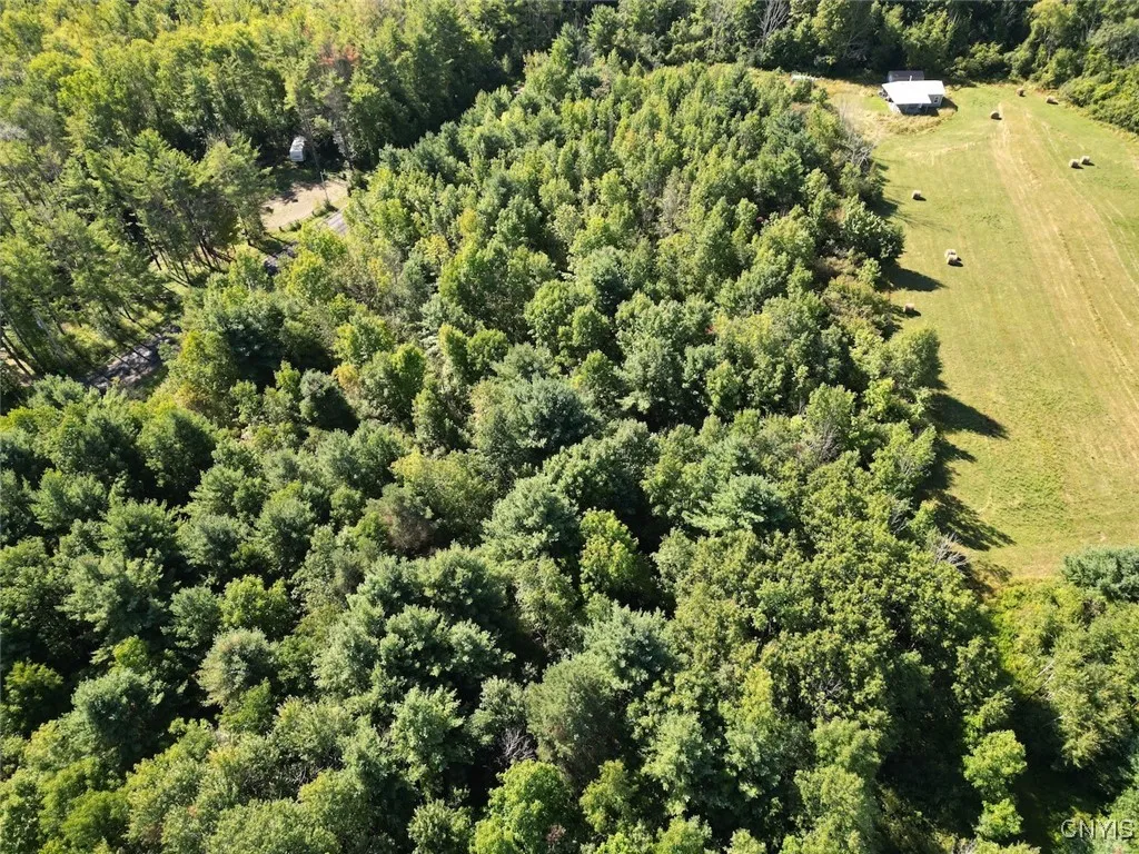 Wessie Road, Pulteney, New York 14874, Pulteney, New York 14874, ,Land,Closed,Wessie Road, Pulteney, New York 14874,0,S1633792