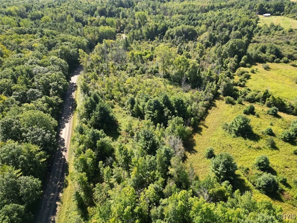 Wessie Road, Pulteney, New York 14874, Pulteney, New York 14874, ,Land,For Sale,Wessie Road, Pulteney, New York 14874,S1633826