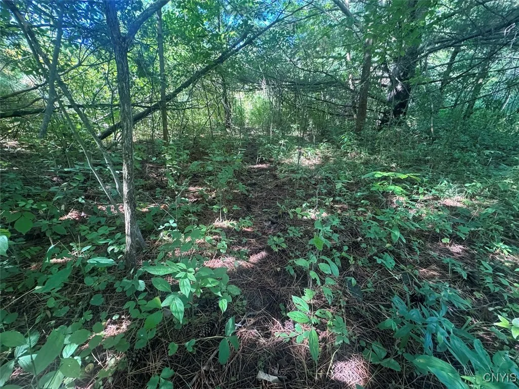 Wessie Road, Pulteney, New York 14874, Pulteney, New York 14874, ,Land,For Sale,Wessie Road, Pulteney, New York 14874,S1633826