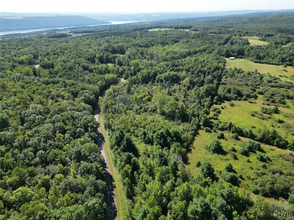 Wessie Road, Pulteney, New York 14874, Pulteney, New York 14874, ,Land,For Sale,Wessie Road, Pulteney, New York 14874,S1633826