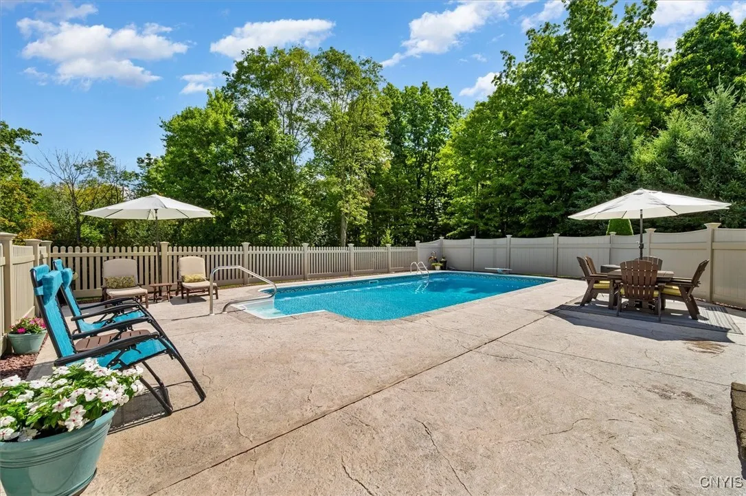 16' x 32' with elephant cover