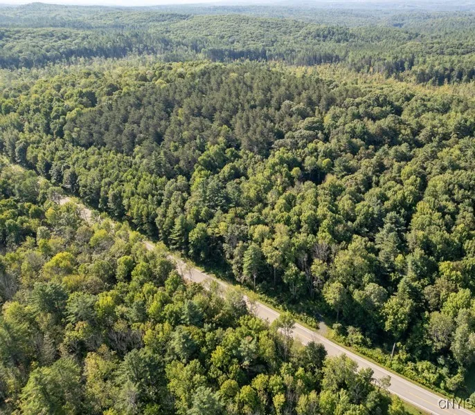 4601 State Highway 29, Johnstown, New York 12095, Johnstown, New York 12095, ,Land,For Sale,4601 State Highway 29, Johnstown, New York 12095,S1633797