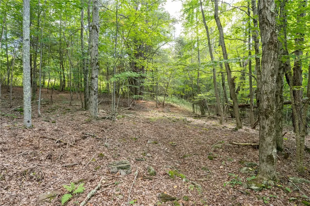 Joe Todd Road, Middletown, New York 12430, Middletown, New York 12430, ,Land,For Sale,Joe Todd Road, Middletown, New York 12430,0,R1633807