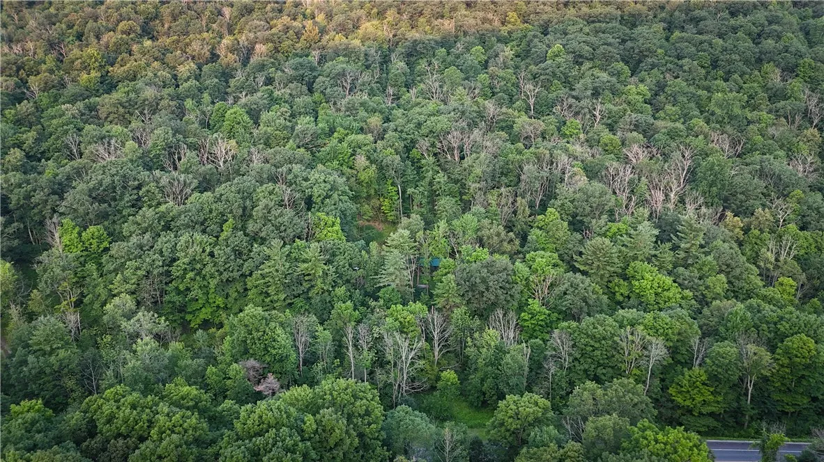 6754 West Hollow Road, South Bristol, New York 145, South Bristol, New York 14512, 1 Bedroom Bedrooms, ,1 BathroomBathrooms,Land,Closed,6754 West Hollow Road, South Bristol, New York 145,0,R1633784