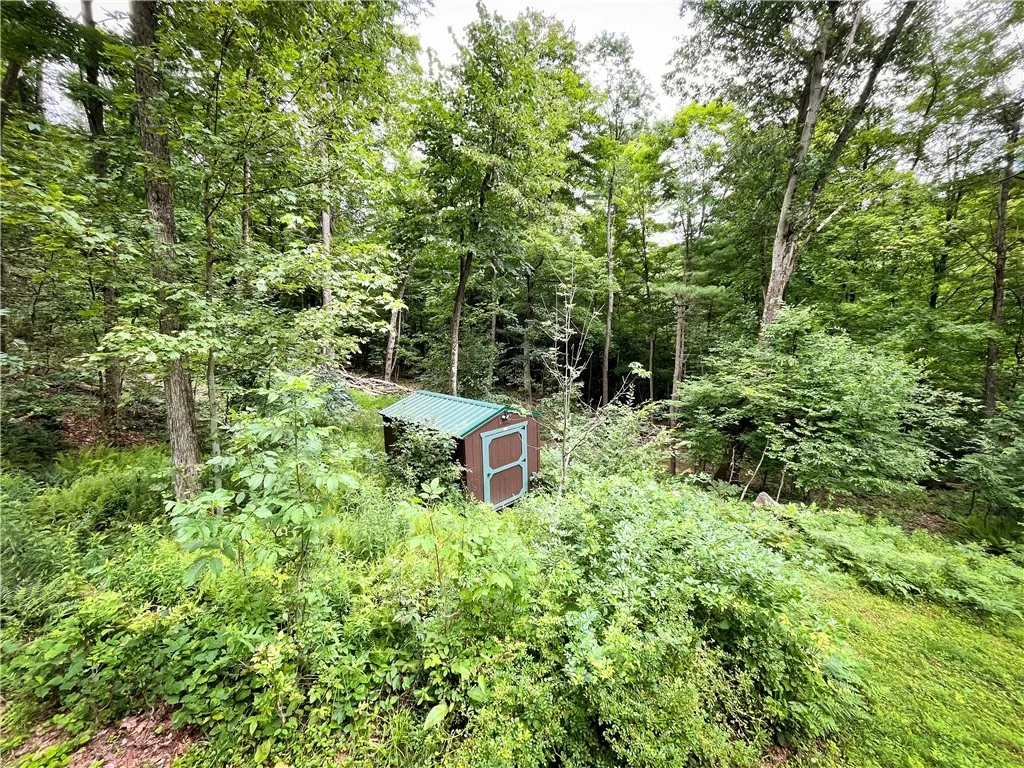 6754 West Hollow Road, South Bristol, New York 145, South Bristol, New York 14512, 1 Bedroom Bedrooms, ,1 BathroomBathrooms,Land,Closed,6754 West Hollow Road, South Bristol, New York 145,0,R1633784