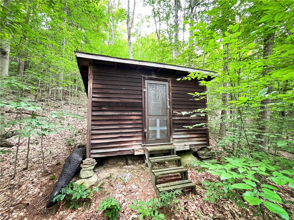 6754 West Hollow Road, South Bristol, New York 145, South Bristol, New York 14512, 1 Bedroom Bedrooms, ,1 BathroomBathrooms,Land,Closed,6754 West Hollow Road, South Bristol, New York 145,0,R1633784