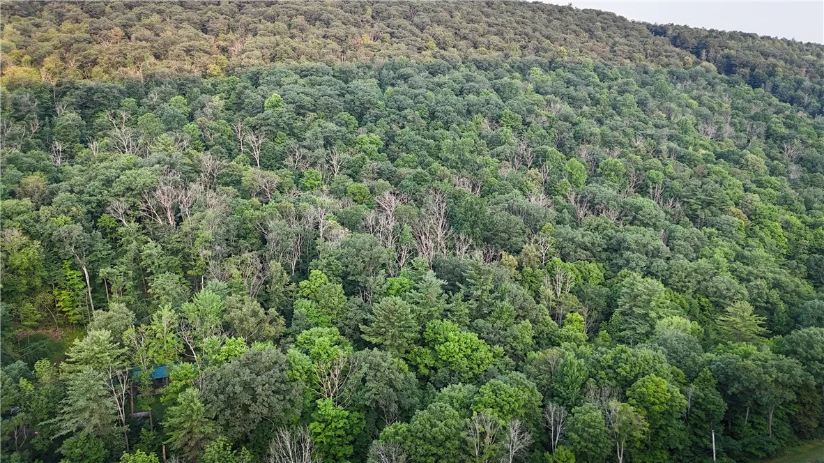 6754 West Hollow Road, South Bristol, New York 145, South Bristol, New York 14512, 1 Bedroom Bedrooms, ,1 BathroomBathrooms,Land,Closed,6754 West Hollow Road, South Bristol, New York 145,0,R1633784