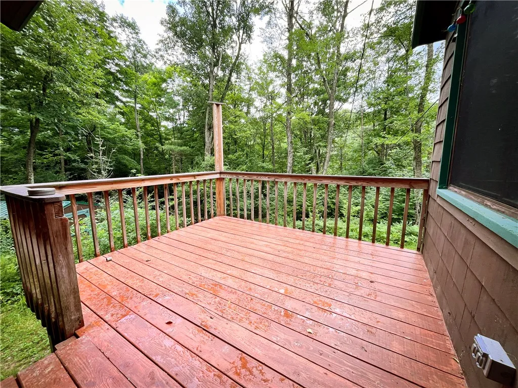 6754 West Hollow Road, South Bristol, New York 145, South Bristol, New York 14512, 1 Bedroom Bedrooms, ,1 BathroomBathrooms,Land,Closed,6754 West Hollow Road, South Bristol, New York 145,0,R1633784