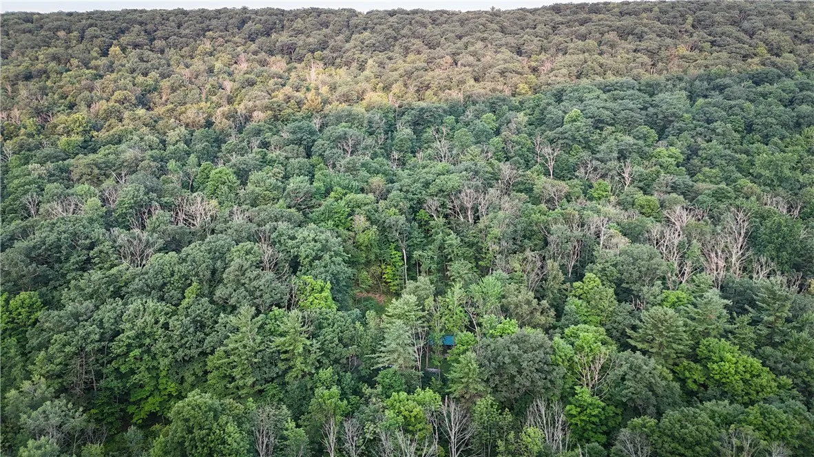 6754 West Hollow Road, South Bristol, New York 145, South Bristol, New York 14512, 1 Bedroom Bedrooms, ,1 BathroomBathrooms,Land,Closed,6754 West Hollow Road, South Bristol, New York 145,0,R1633784